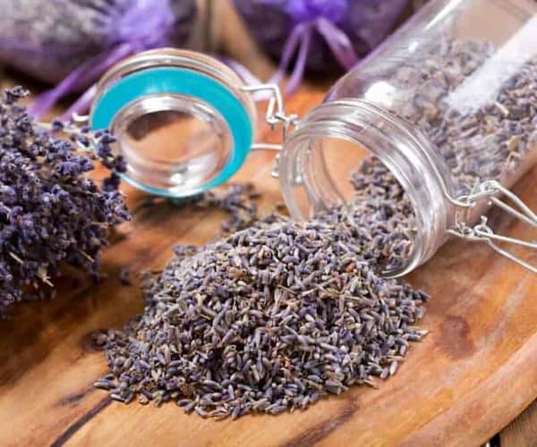 تصویر 1 از فروش اسطوخودوس خشک شده + قیمت خرید به صرفه